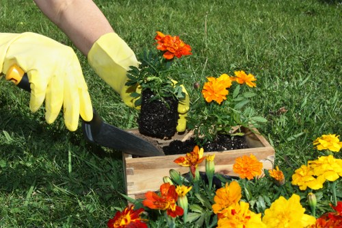 Wood chipper turning branches into mulch in a sustainable gardening area