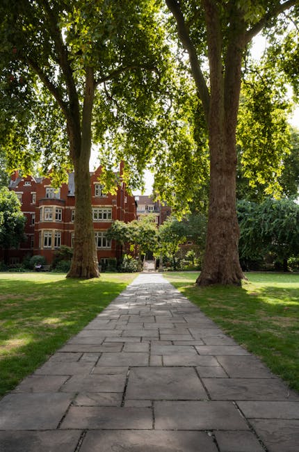 A paved stone pathway runs straight through a well-maintained grassy lawn, flanked on both sides by tall, mature trees with thick trunks and lush green foliage, providing ample shade. In the backgroun