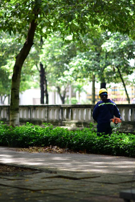 A paved stone pathway runs straight through a well-maintained grassy lawn, flanked on both sides by tall, mature trees with thick trunks and lush green foliage, providing ample shade. In the backgroun