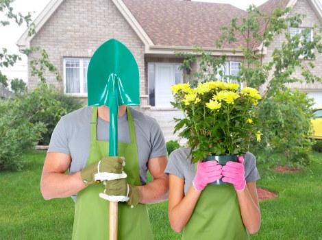 Lawn care professionals at work in St Johns Wood